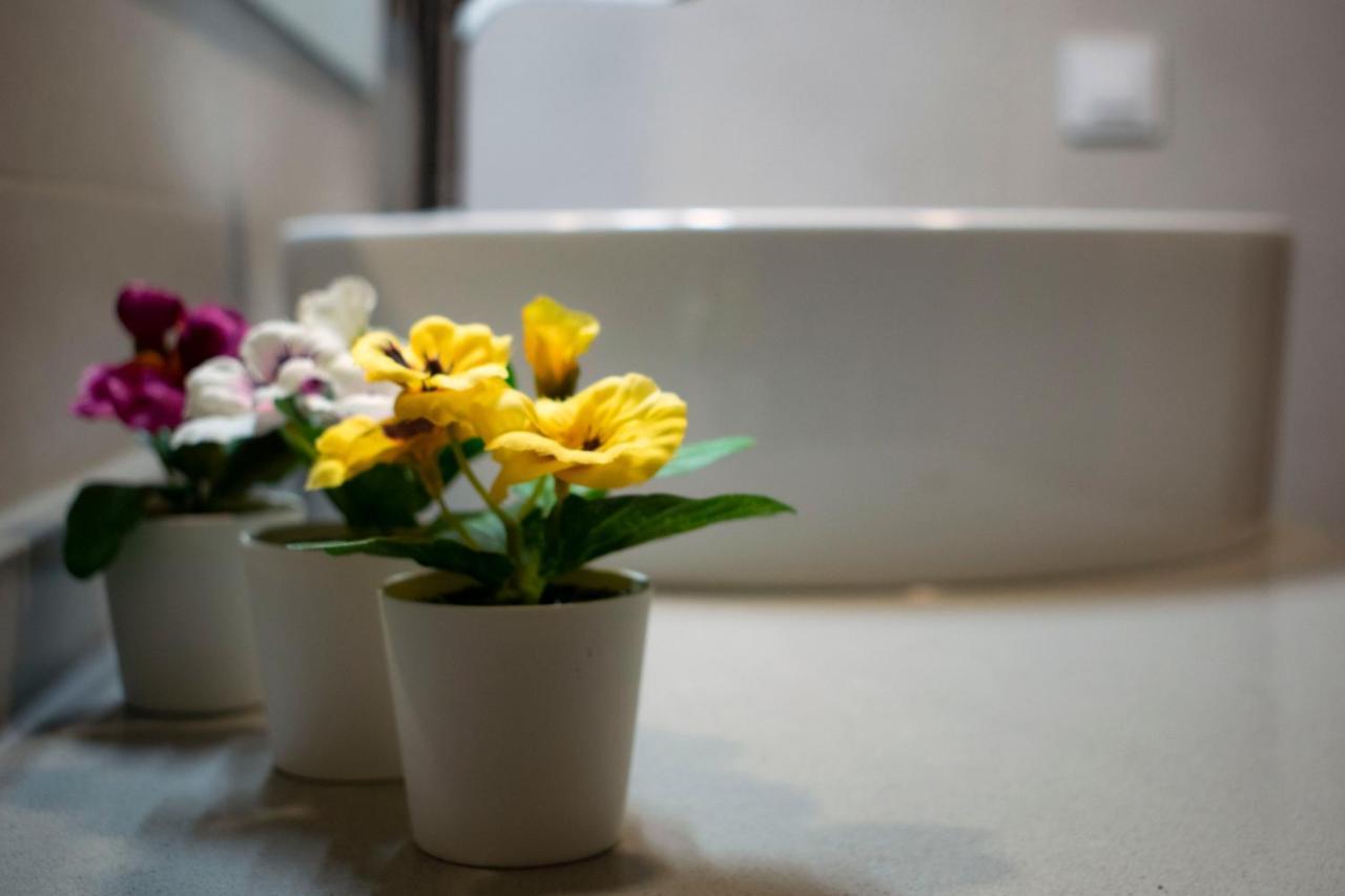 Estudio De Tiedra Apartment Cuenca  Ngoại thất bức ảnh